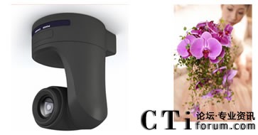 �������^���r��������